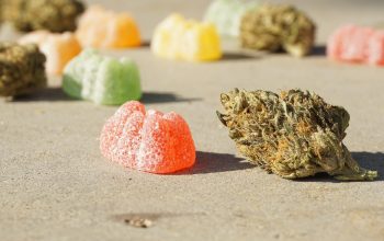 The Ins and Outs of Buying Delta 9 Gummies