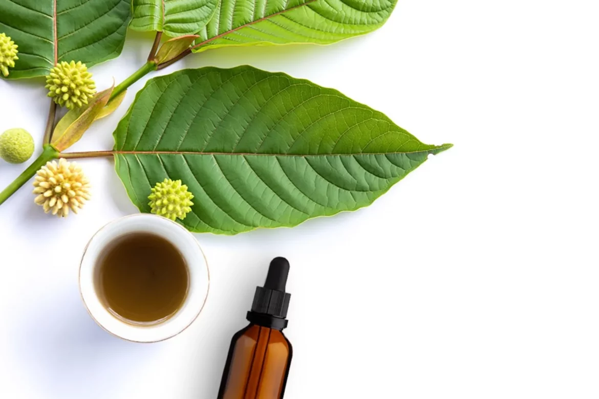 Kratom and Hydration: A Perfect Partnership for Well-Being